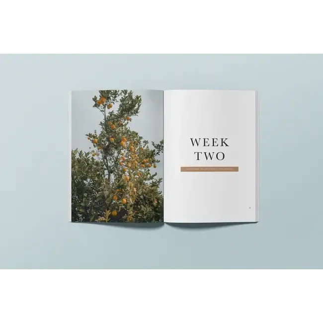 I Am: A Forty Day Journey of Truth and Identity