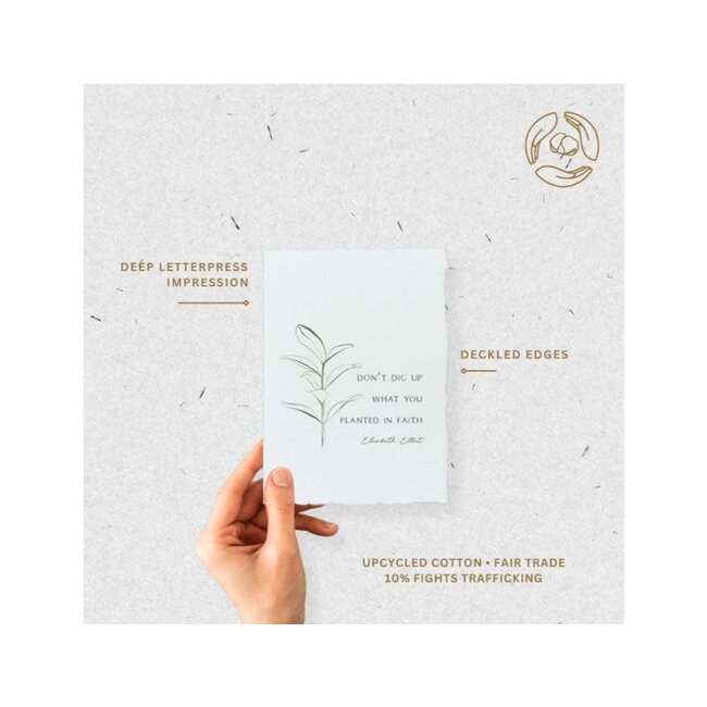 Planted in Faith | Plant Floral Greeting Card