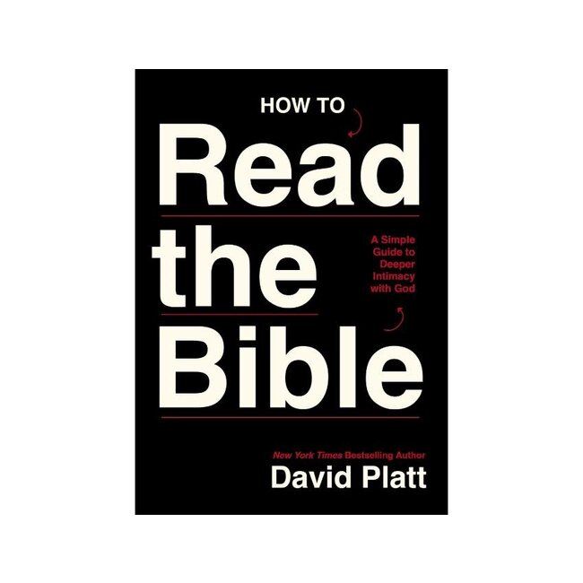 How to Read the Bible