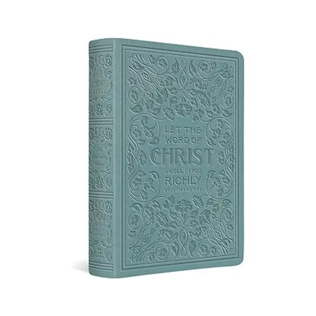 ESV Illuminated Bible, Art Journaling Edition TruTone, Paris Sky, Colossians 3:16 Design