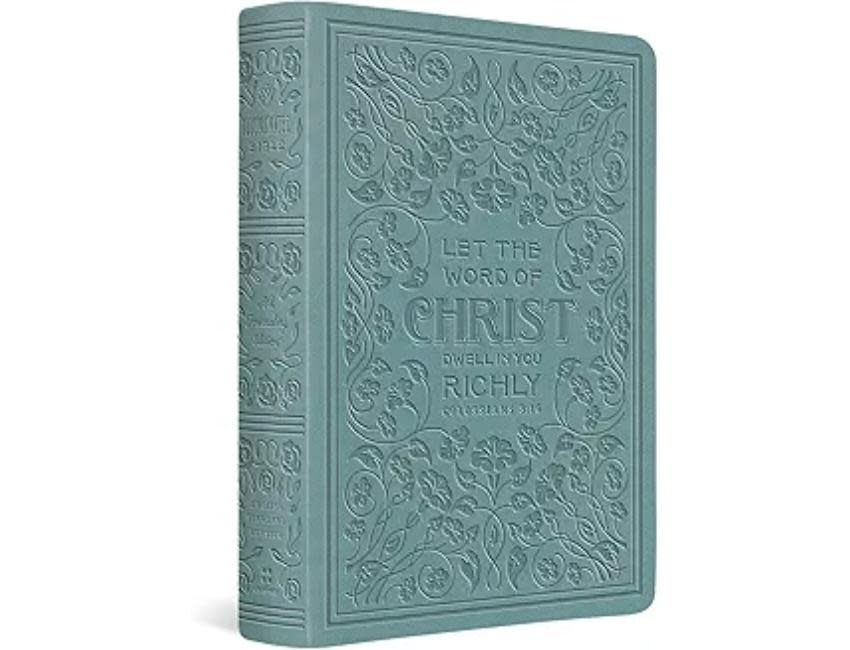 ESV Illuminated Bible, Art Journaling Edition TruTone, Paris Sky, Colossians 3:16 Design