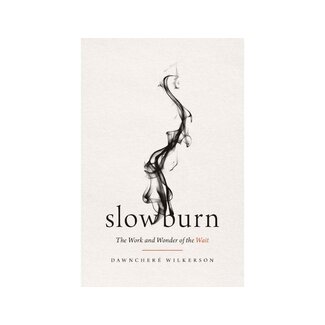 DawnChere Wilkerson Slow Burn: The Work and Wonder of the Wait