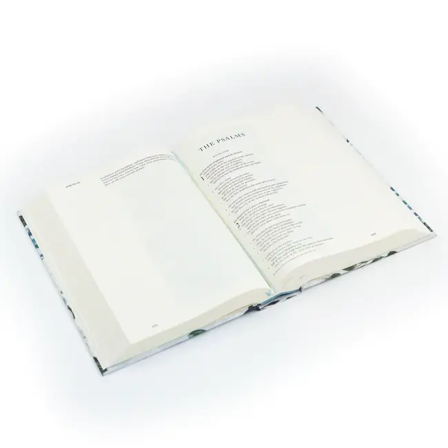 ESV Large Print Journaling Bible: Victoria Theme