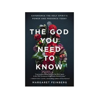 Margaret Feinberg The God You Need to Know