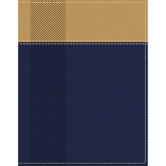 NIV Starting Place Study Bible - Navy/Tan Indexed