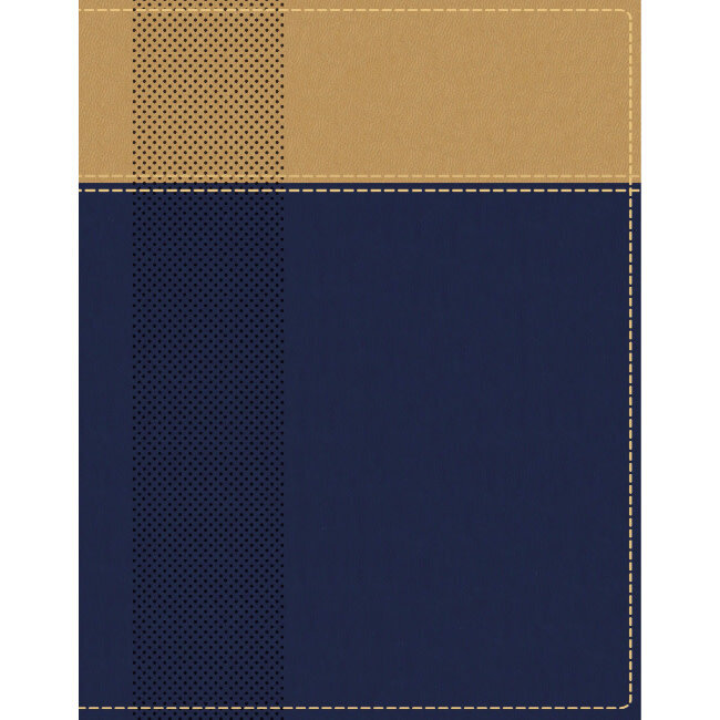 NIV Starting Place Study Bible - Navy/Tan Indexed