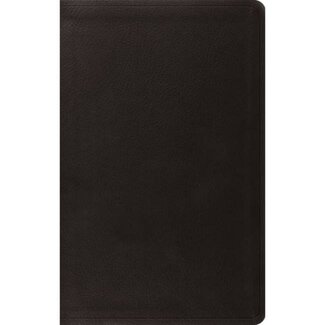ESV Value Thinline Bible - Black