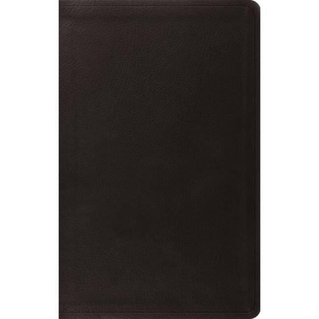 ESV Value Thinline Bible - Black