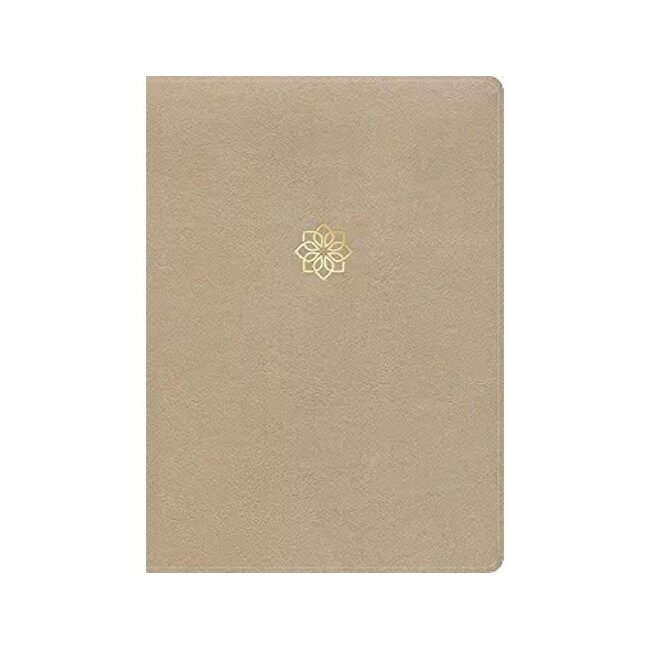 CSB Study Bible Large Print Digital Study Edition Gold  Leathertouch Indexed