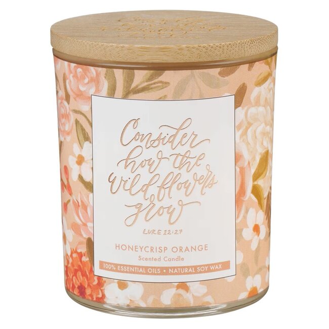 Wildflowers Honeycrisp Orange Scented Candle in Glass Jar - Luke 12:27