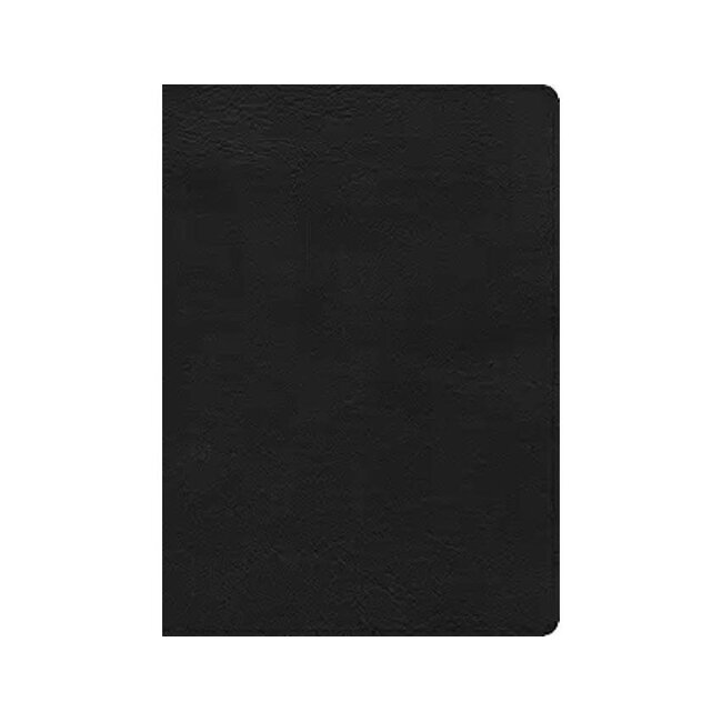 CSB Study Bible Large Print Digital Study Edition Black Leathertouch Indexed