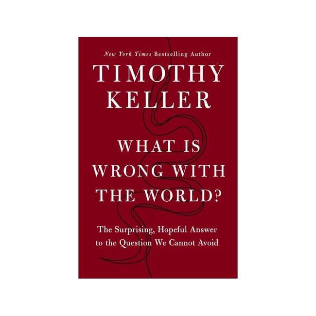 What Is Wrong with the World?