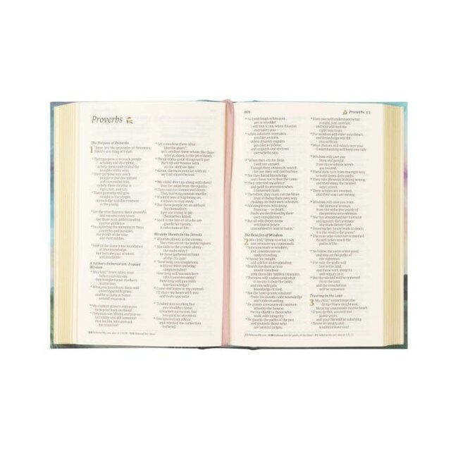 NLT Compact Bible: Prairie Theme