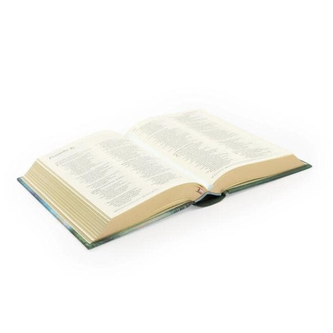 NLT Compact Bible: Prairie Theme