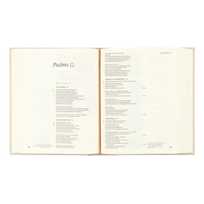 CSB Notetaking Bible: Oxford Theme