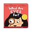 What Are Eyes For? Board Book: A Lift-the-Flap Board Book