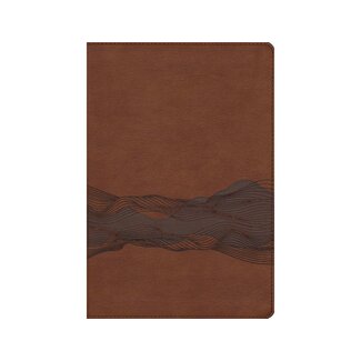 NIV, Timeline Bible, Leathersoft, Brown, Red Letter, Comfort Print