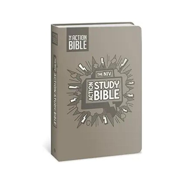 The NIV Action Study Bible (Gray Leathersoft)