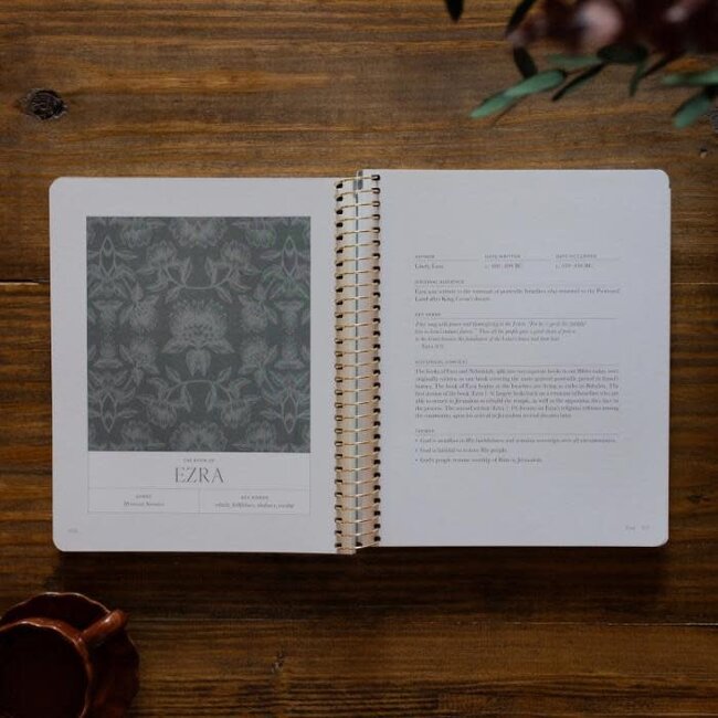 A Year in the Bible | 365 Days of Discovering the Beauty of Jesus from Genesis To Revelation | Volume 2