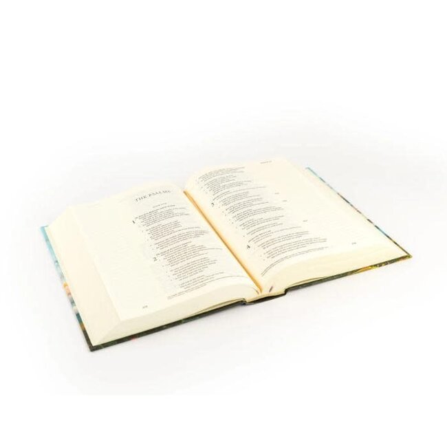 Santa Lucia ESV Journaling Bible