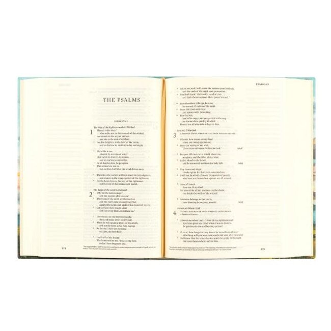 Santa Lucia ESV Journaling Bible