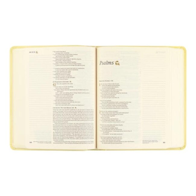 NLT Belfast Notetaking Bible