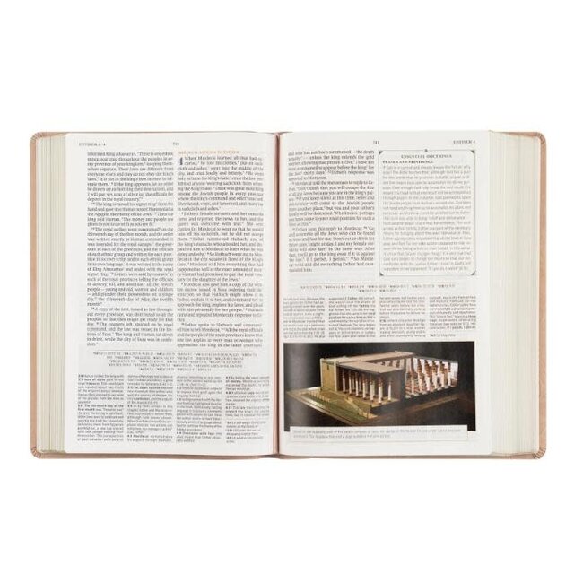 CSB Women's Study Bible Sonora