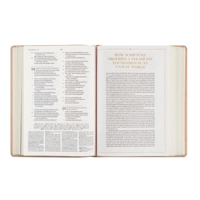 CSB Women's Study Bible Sonora