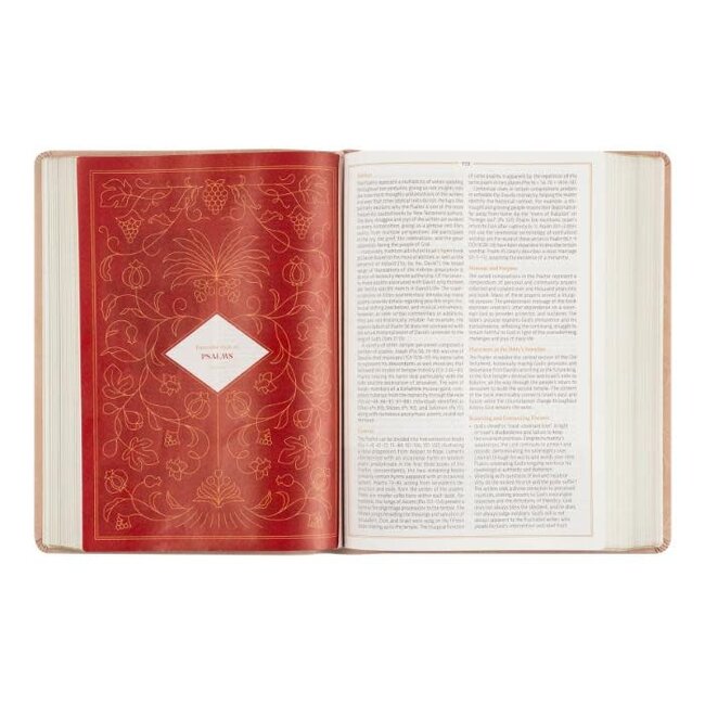 CSB Women's Study Bible Sonora