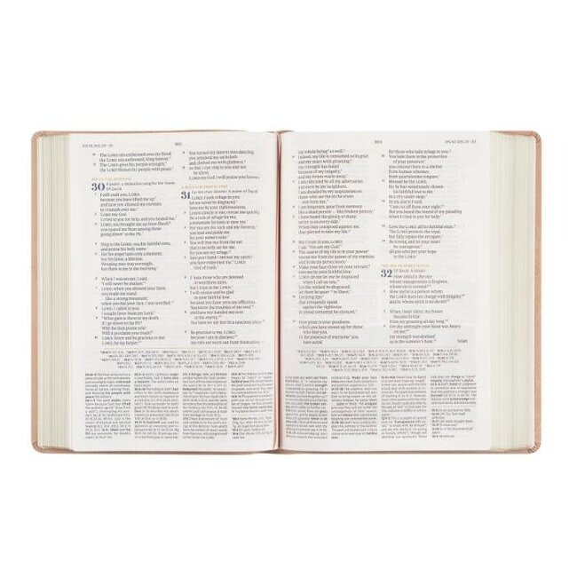 CSB Women's Study Bible Sonora