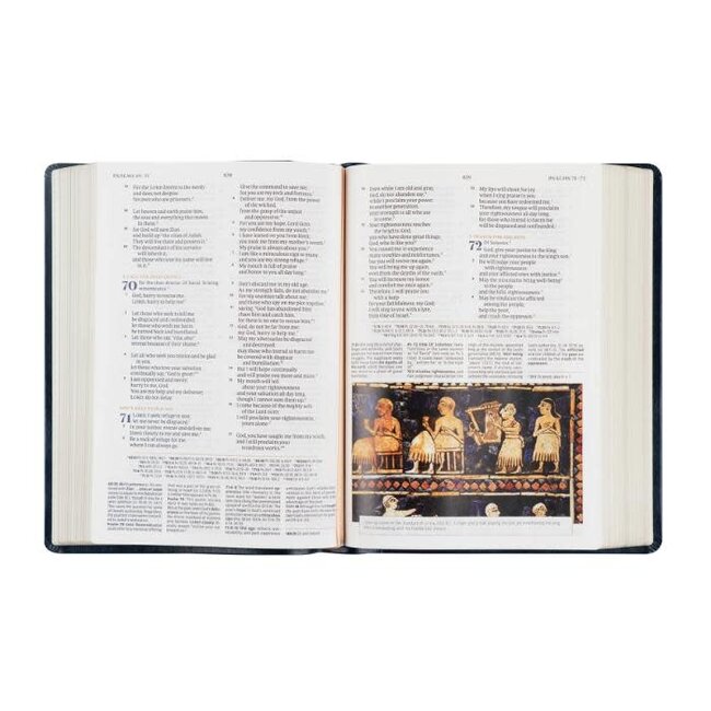 Versailles CSB Women's Study Bible