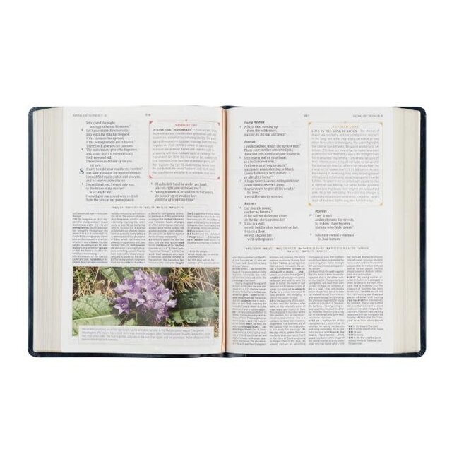 Versailles CSB Women's Study Bible