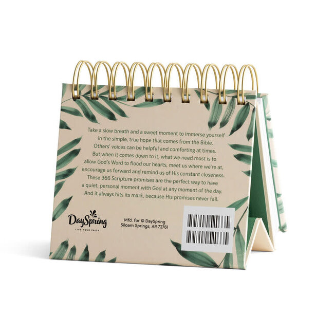 Bible Promises For Every Day