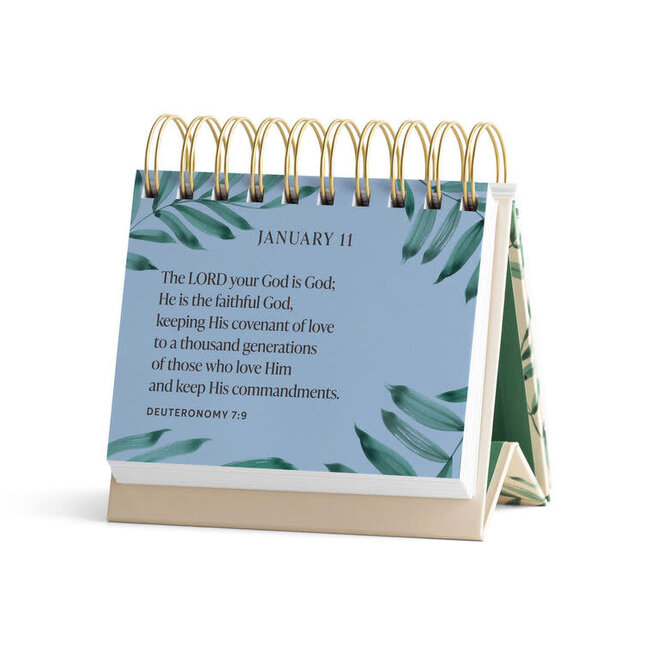 Bible Promises For Every Day