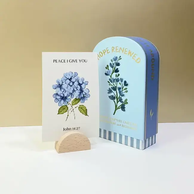 Hope Renewed Faith Collection Guided Cards w/Stand