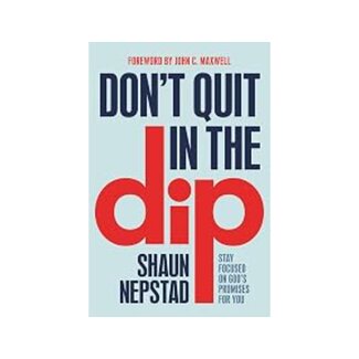 Shaun Nepstad Don't Quit in the Dip Paperback