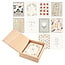 Inspirational Boxed Greeting Cards
