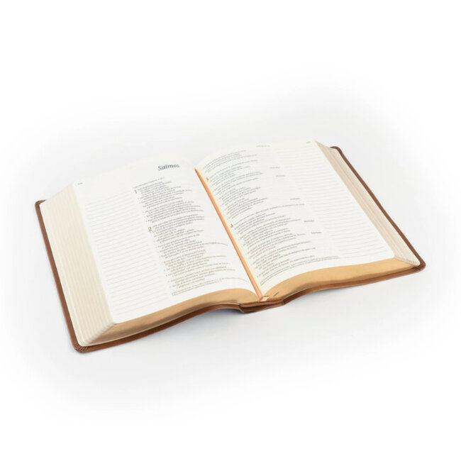 Ntv Spanish Notetaking Bible: Aurora Theme | NTV Biblia De Margen Amplio