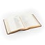 Ntv Spanish Notetaking Bible: Aurora Theme | NTV Biblia De Margen Amplio