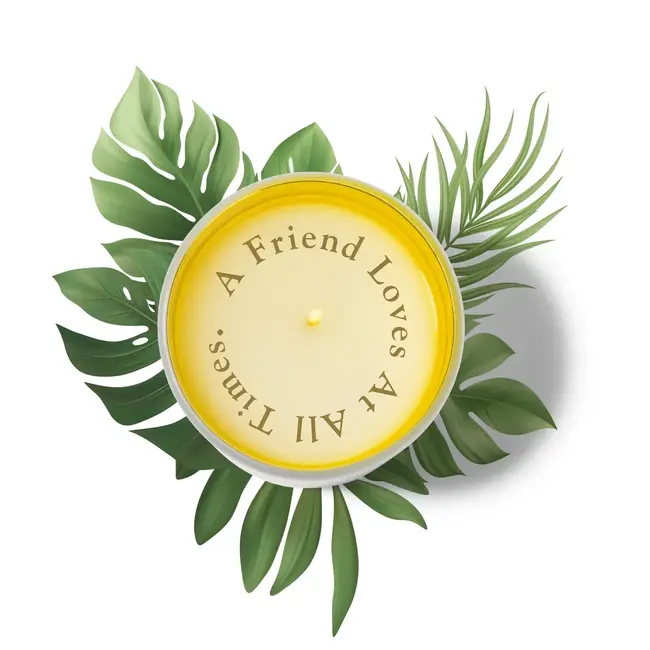 "A Friend Loves At All Times" Candle - Eternal Rose