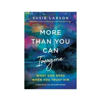 Susie Larson More Than You Can Imagine