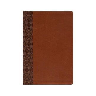 Amplified Holy Bible, Large Print, Leathersoft, Brown