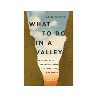 Jabin Chavez What to Do in a Valley