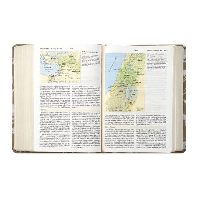 ESV Study Bible: Manila Theme