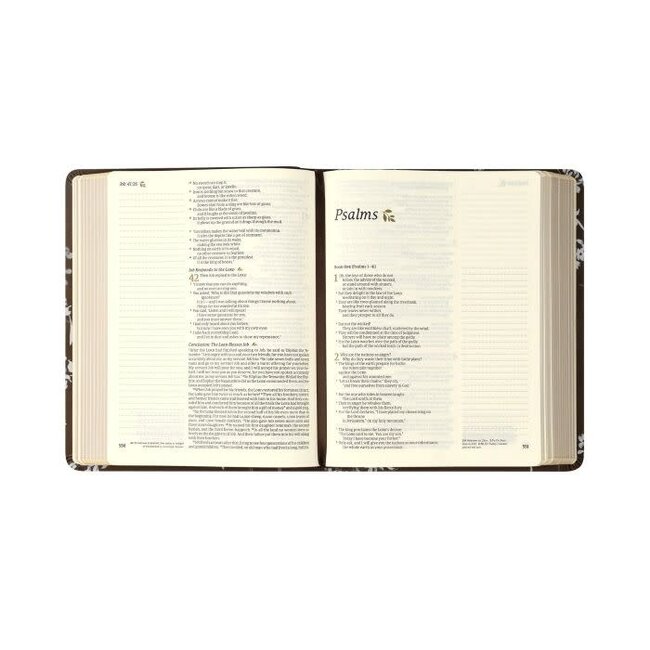NLT Notetaking Bible: Lijiang Theme