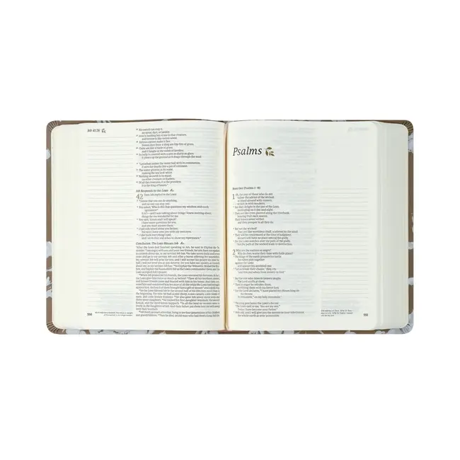 NLT Notetaking Bible: Manila Theme