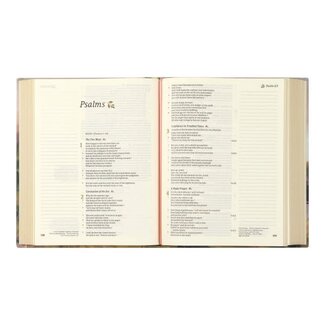 CSB Notetaking Bible: Faroe Theme