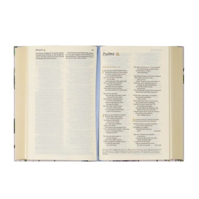 NLT Compact Bible: Willow Theme