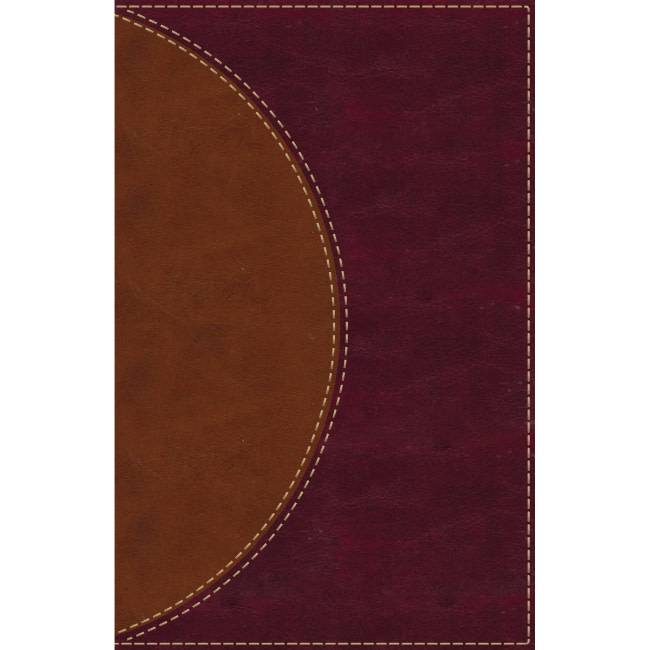 Amplified Reading Bible - Leathersoft Brown Indexed