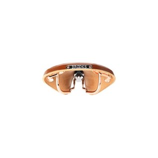Brooks England Brooks B17 Special - Honey Top - Copper Steel